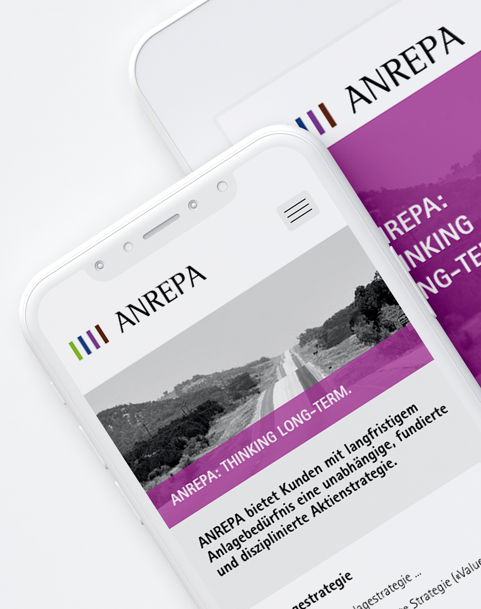 Anrepa Asset Management – Corporate Design